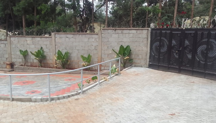 Repair and Renovation Services